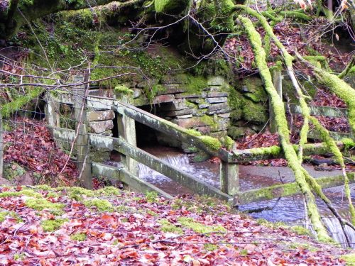 Venford-Water-6