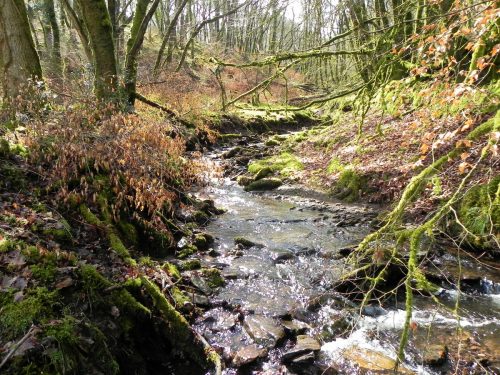 Venford-Water-7