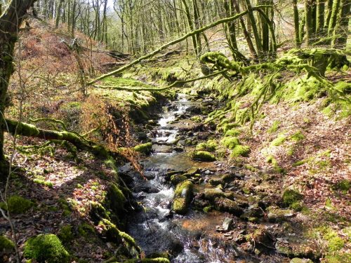Venford-Water-8