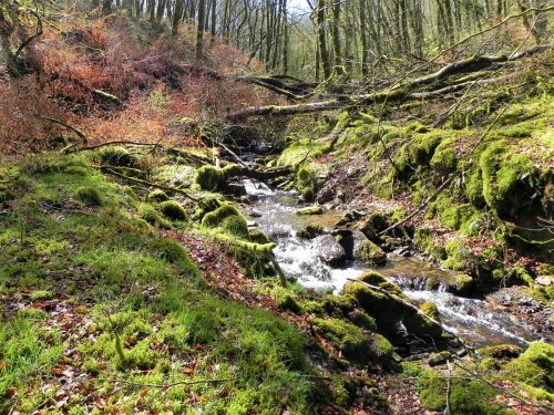 Venford-Water-9