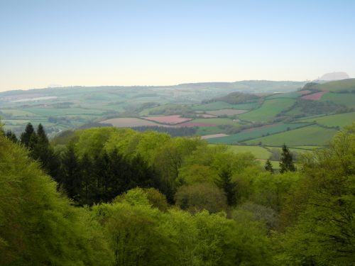 View-from-Winding-House-4
