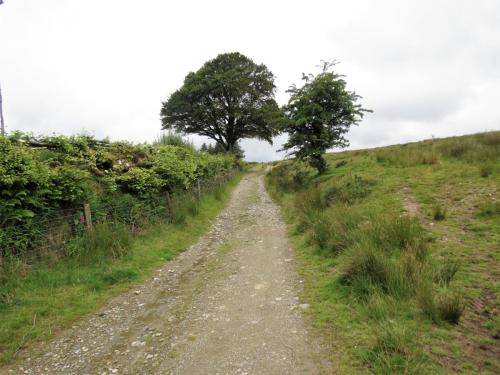 Walk-Landacre-to-Simonsbath-1