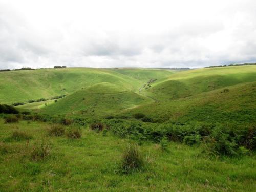 Walk-Landacre-to-Simonsbath-13