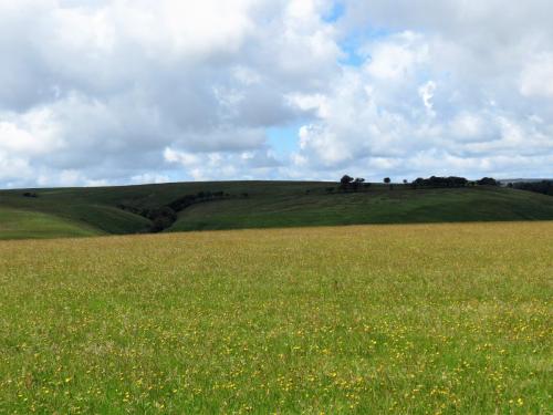 Walk-Landacre-to-Simonsbath-19