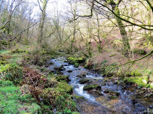 West-Water-8