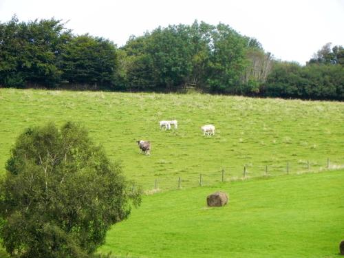 near-Clatworthy-reservoir-1